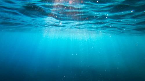 Truth About TOTOX score: What It Says About Your Omega-3 Quality