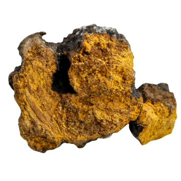 KÄÄPÄ biologisch chaga-extractpoeder