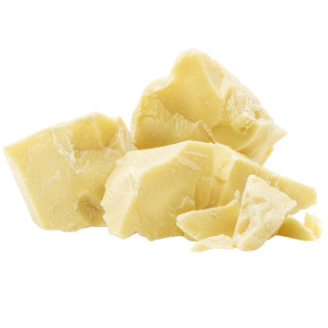Biologische Criollo cacaoboter